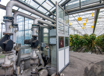 The existing agricultural complex in Kherson